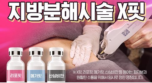 지방분해약침 시술 안내
