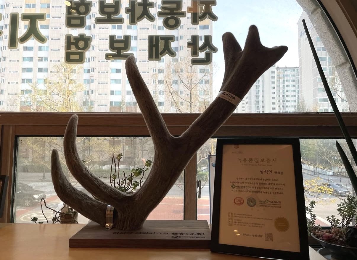 녹용보약