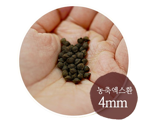 농축엑스환 4mm 실물