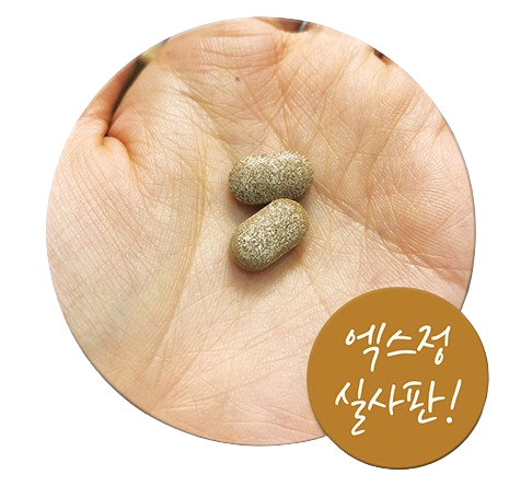 엑스정 실물